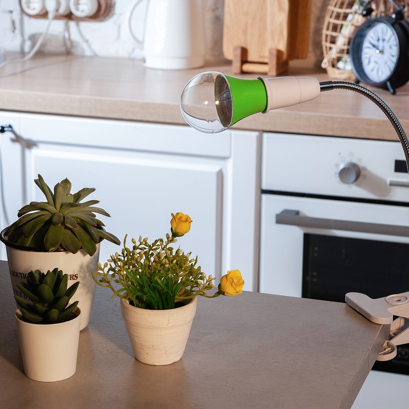 LED-A60-8W/SPSB/E27/CL PLP30GR Лампа светодиодная для растений. Форма "A", прозрачная. Спектр для ра