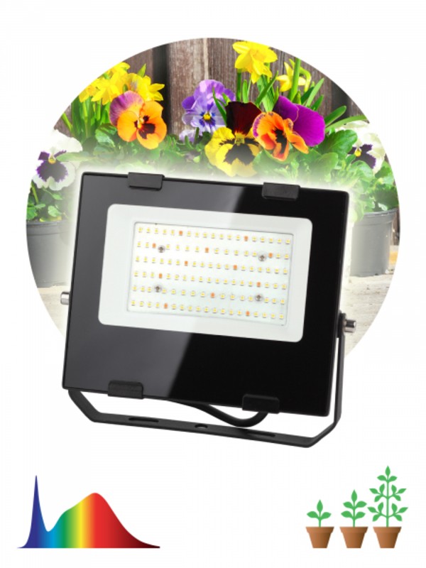 Фитопрожектор для растений светодиодный ЭРА FITO-50W-Ra90-LED для цветения и плодоношения полного сп