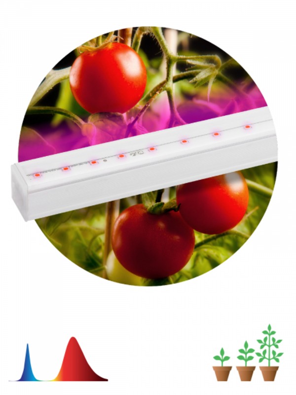 Светильник для растений, фитолампа светодиодная линейная ЭРА FITO-14W-Т5-N красно-синего спектра 14 